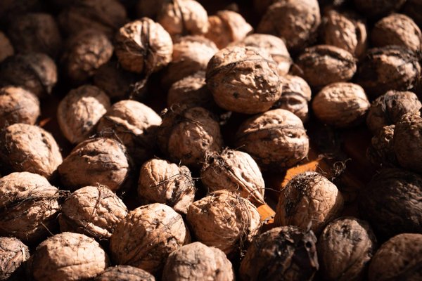 Quels sont les meilleurs aliments pour renforcer votre mémoire et concentration ?