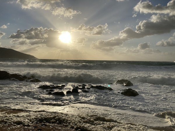 Cuisine grecque : Explorez les délices de la Méditerranée orientale